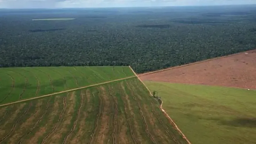 El Gobierno eliminó la cláusula de venta de tierras a extranjeros para salvar la sesión en el Senado